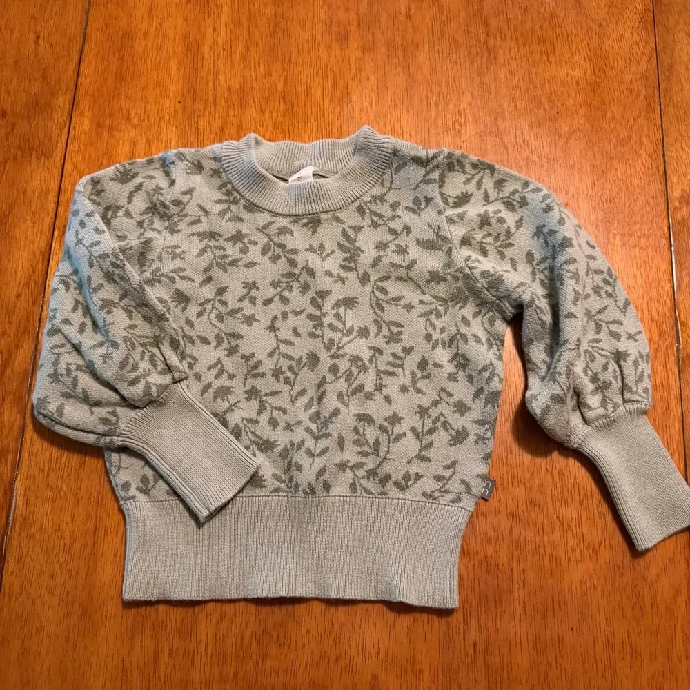 Modern‎ Moments by Gerber Toddler Girls Sage Green Floral Knit Sweater Set 3T